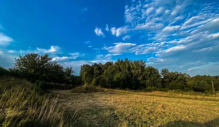 Działka rolno-budowlana Rożnowice Padoły