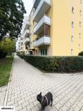 Mieszkanie 3-pokojowe Piastów, ul. gen. Jarosława Dąbrowskiego. Zdjęcie 3