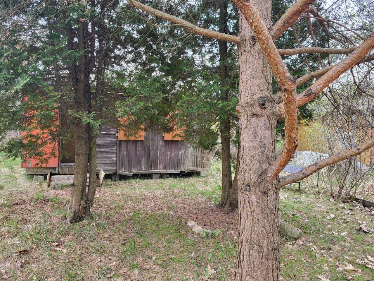 Działka rod Kielce. Zdjęcie 6