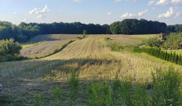 Działka rolno-budowlana Rąblów