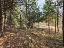 Działka budowlana Dziurów. Zdjęcie 3