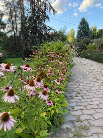 dom wolnostojący, 4 pokoje Ujazd, ul. Kluczwody. Zdjęcie 12