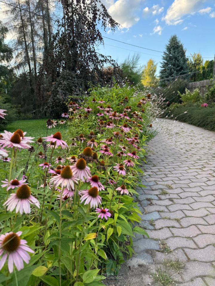 dom wolnostojący, 4 pokoje Ujazd, ul. Kluczwody. Zdjęcie 12