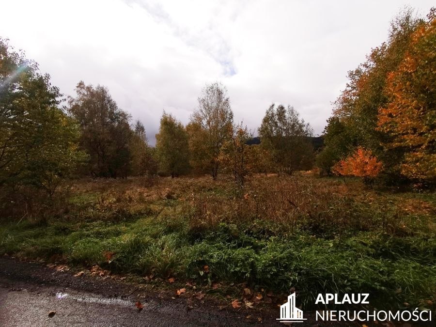 Działka rolna Antoniów. Zdjęcie 8