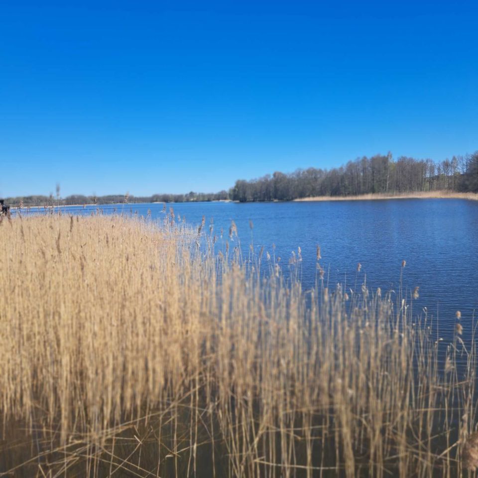 siedlisko Dłużec. Zdjęcie 3