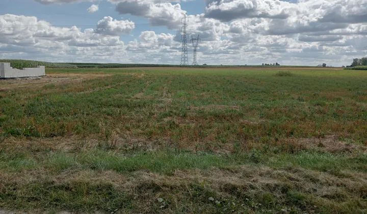 Działka inna Złotniki Kujawskie, ul. Złotnicka