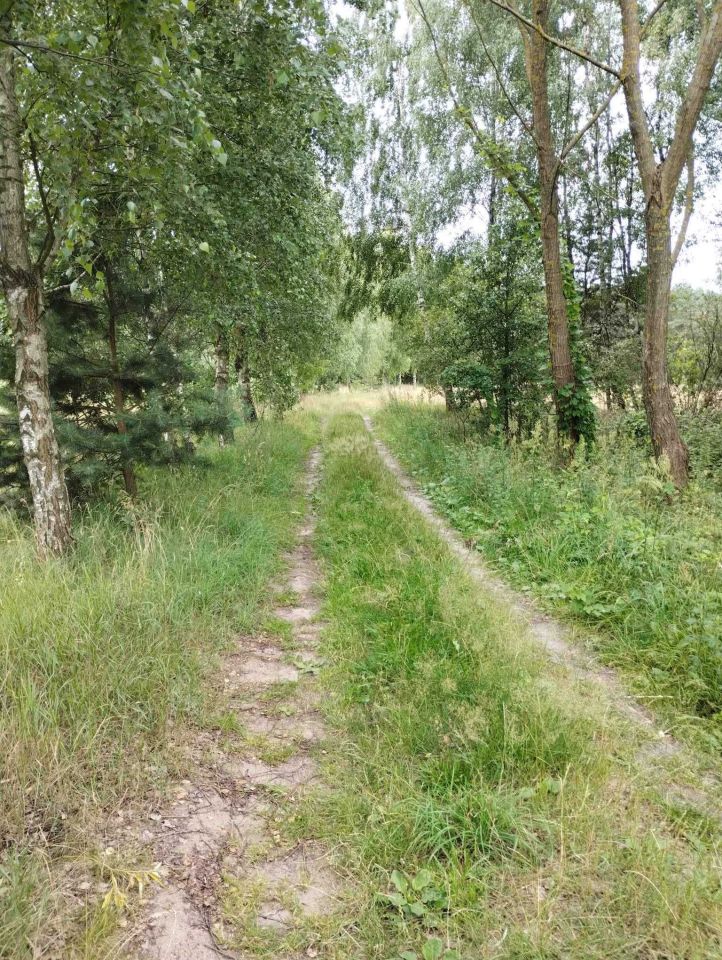 Działka rolna Wólka. Zdjęcie 2