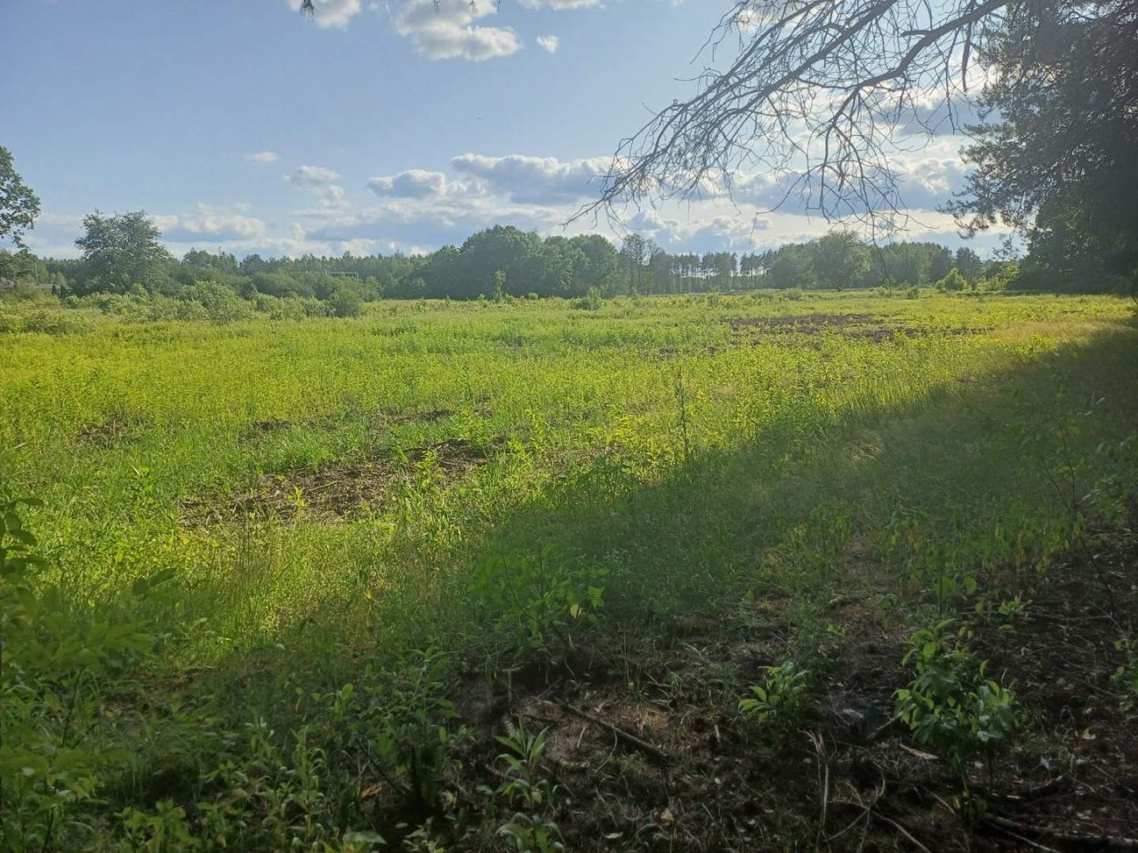 Działka rolno-budowlana Wola Karczewska, ul. Rutki. Zdjęcie 3