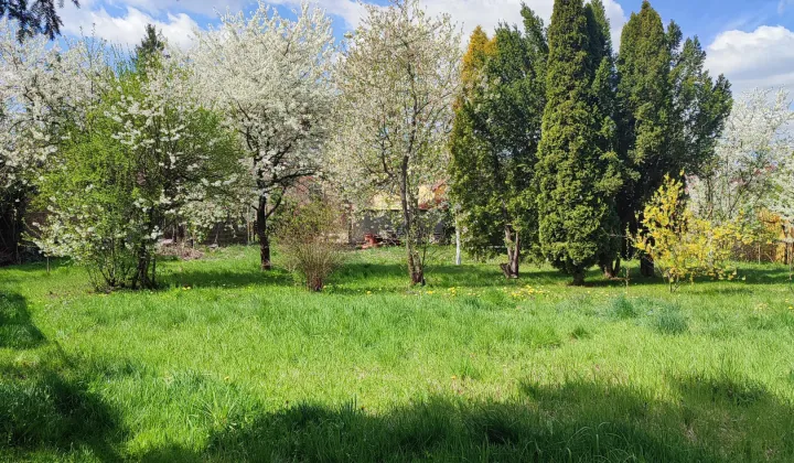 Działka rod Jarosław, ul. Benedyktyńska