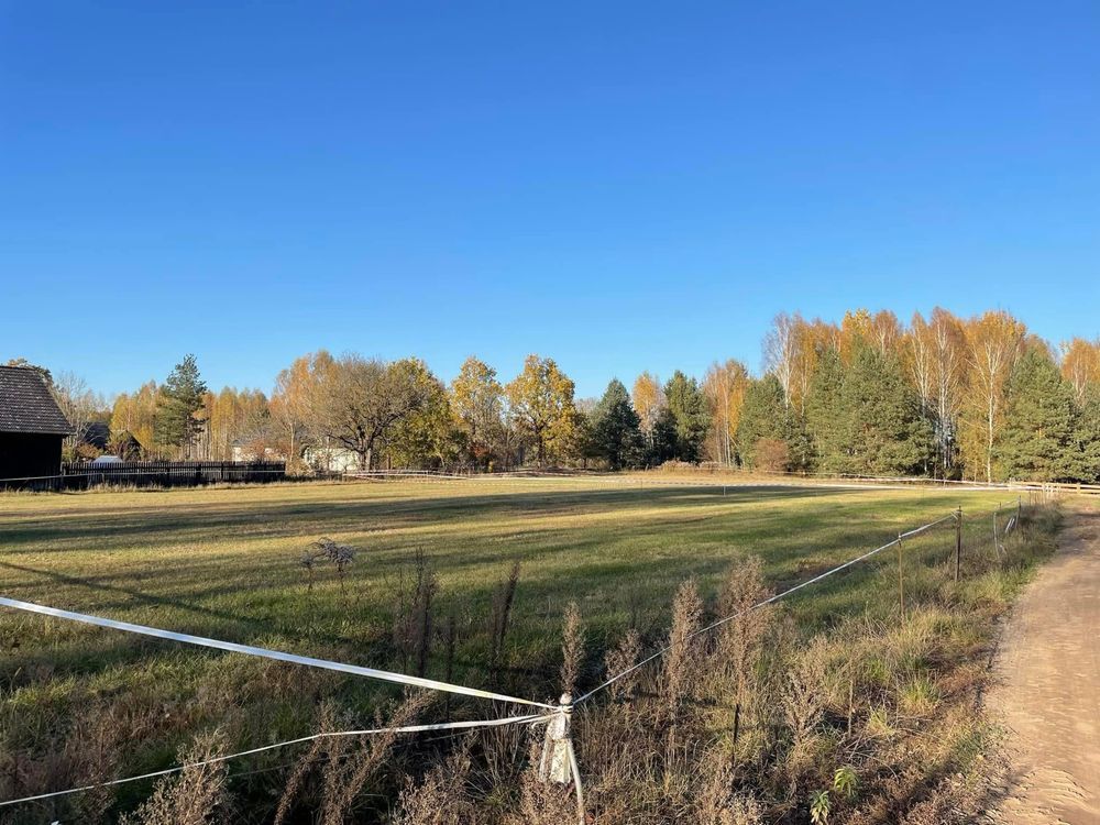 Działka siedliskowa Zasady. Zdjęcie 2