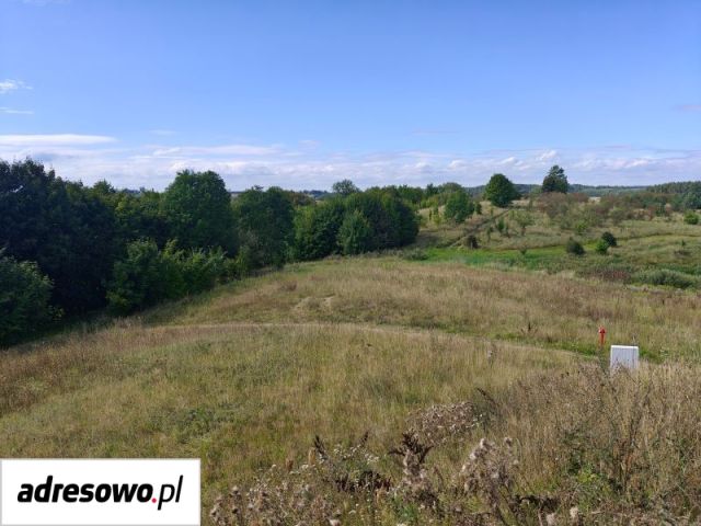 Działka budowlana Głodowo. Zdjęcie 1