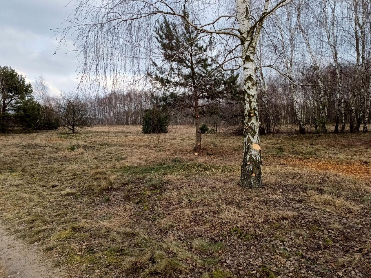 Działka budowlana Tuszyn, ul. Wielkopole