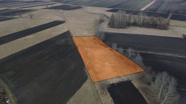 Działka rolna Skalbmierz. Zdjęcie 1