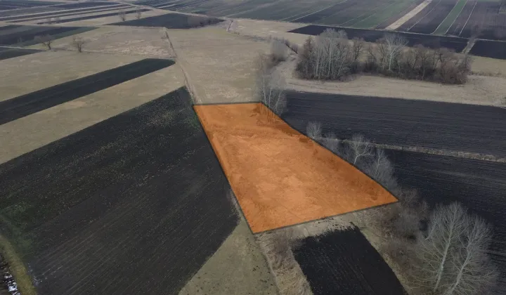 Działka rolna Skalbmierz