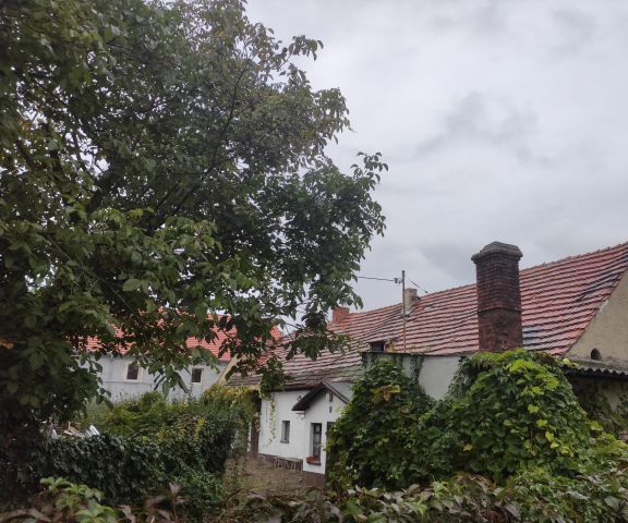 dom wolnostojący, 4 pokoje Pietrzykowice, ul. Ogrodowa. Zdjęcie 1