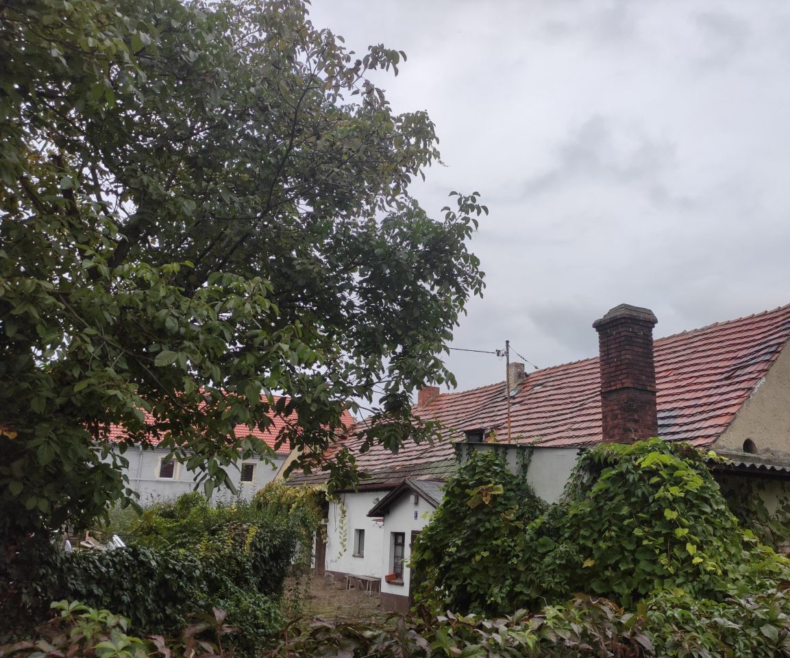 dom wolnostojący, 4 pokoje Pietrzykowice, ul. Ogrodowa