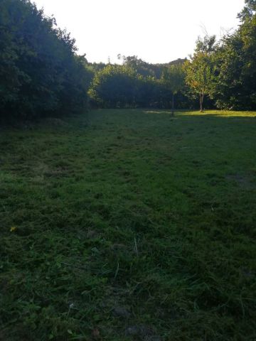 Działka budowlana Goszczowice. Zdjęcie 1