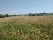 Działka rolna Turno. Zdjęcie 2