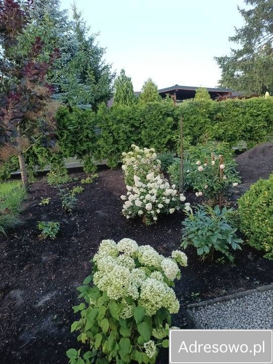 Działka rod Grudziądz Tuszewo, ul. Ludwika Waryńskiego. Zdjęcie 9