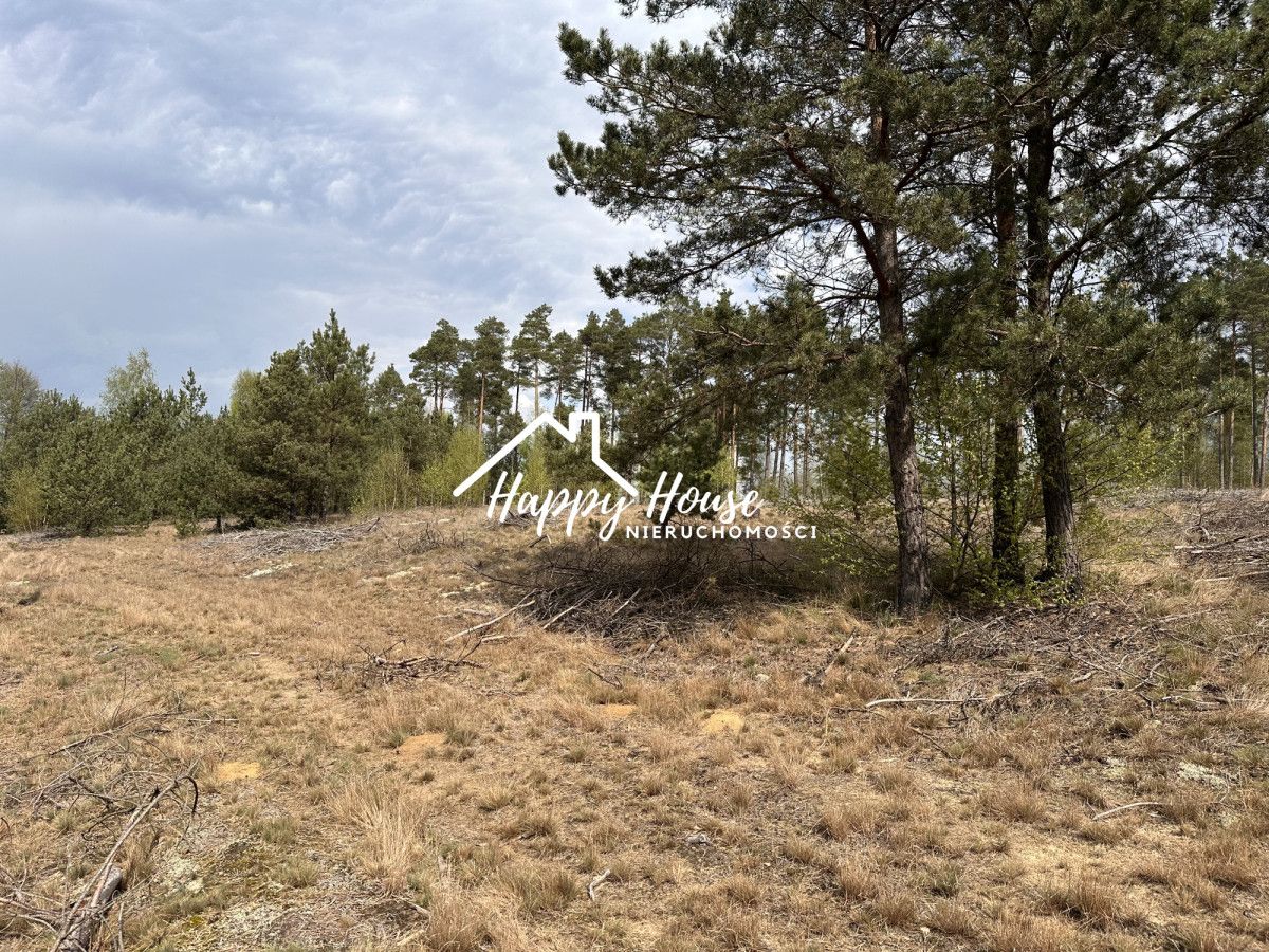 Działka inwestycyjna Czyczkowy. Zdjęcie 11