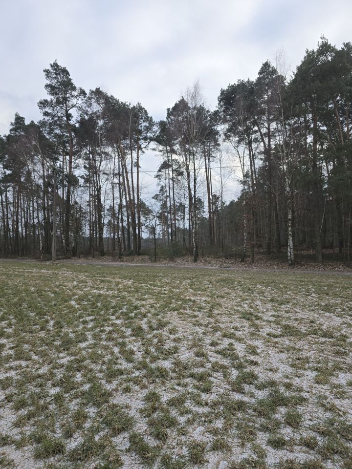 Działka rolna Pieczyska. Zdjęcie 4