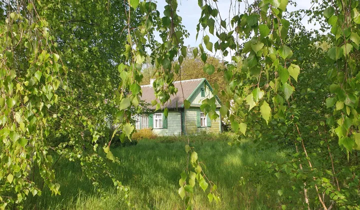 siedlisko, 3 pokoje Gródek Szlachecki