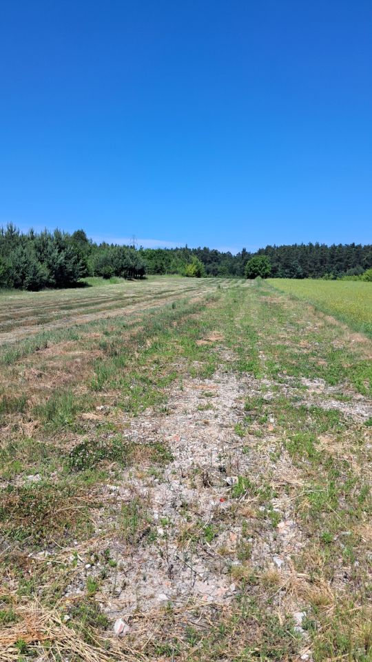 Działka budowlana Łaszczówka-Kolonia, ul. Przemysłowa. Zdjęcie 4
