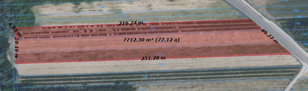 Działka inwestycyjna Skowieszyn, ul. Puławska. Zdjęcie 3