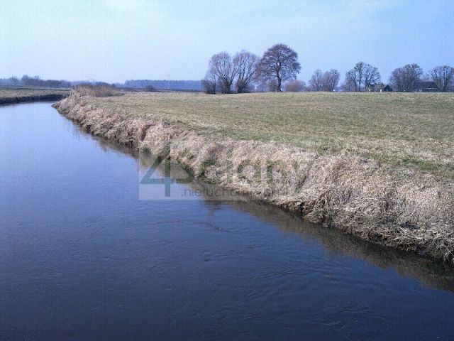 Działka rolno-budowlana Cholewy. Zdjęcie 2