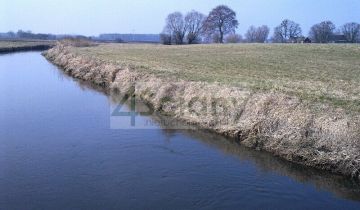 Działka rolno-budowlana Cholewy