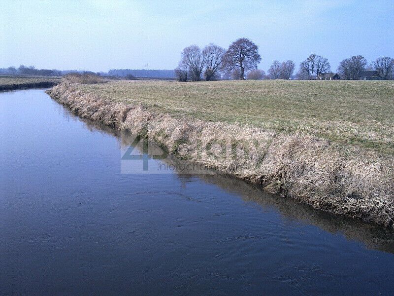 Działka rolno-budowlana Cholewy. Zdjęcie 2