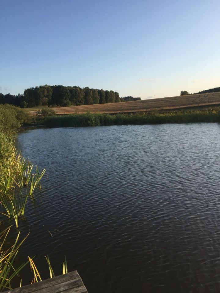 Działka rolna Przęsin. Zdjęcie 3