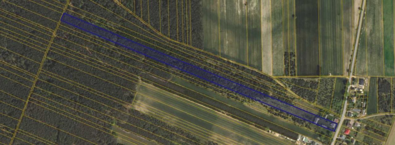 gospodarstwo Kamocka Wola. Zdjęcie 4