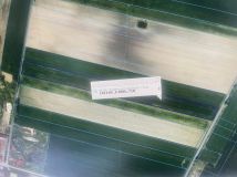 Działka rolna Brzeziny. Zdjęcie 1