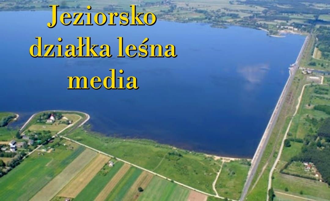 Działka rekreacyjna Skęczniew. Zdjęcie 5