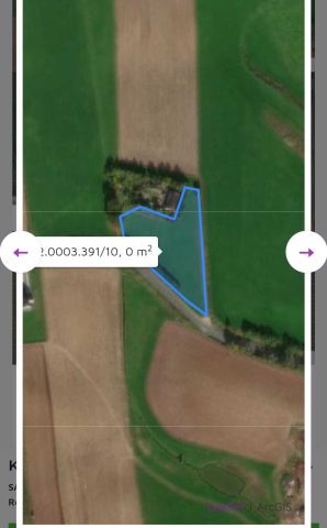 Działka siedliskowa Jarantowice. Zdjęcie 1