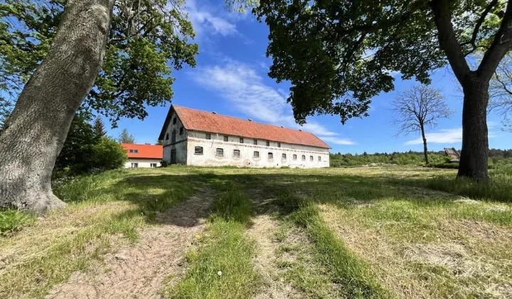 Nieruchomość komercyjna Pomnik