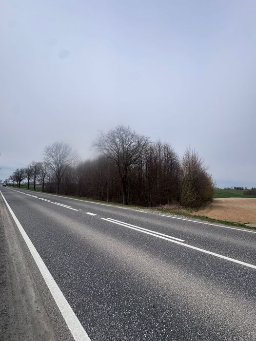 Działka rolna Marcinkowice. Zdjęcie 4