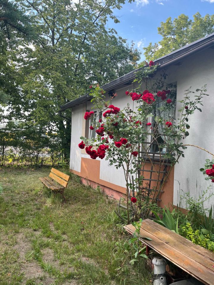 Działka rod Piotrków Trybunalski, ul. Gliniana. Zdjęcie 2