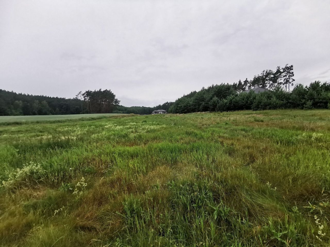 Działka budowlana Międzybłocie. Zdjęcie 14