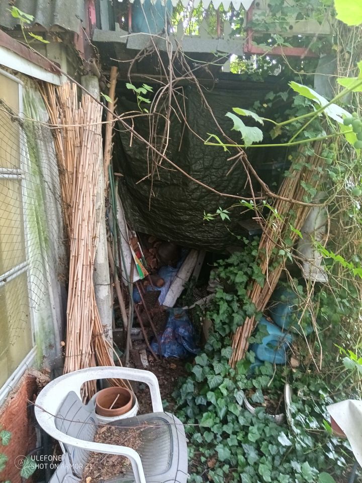 Działka rod Grzybiany, ul. Koskowicka. Zdjęcie 3