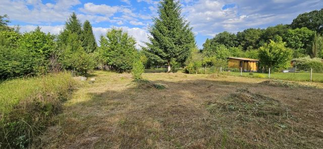 Działka rod Wrocław Psie Pole, ul. Sołtysowicka. Zdjęcie 1