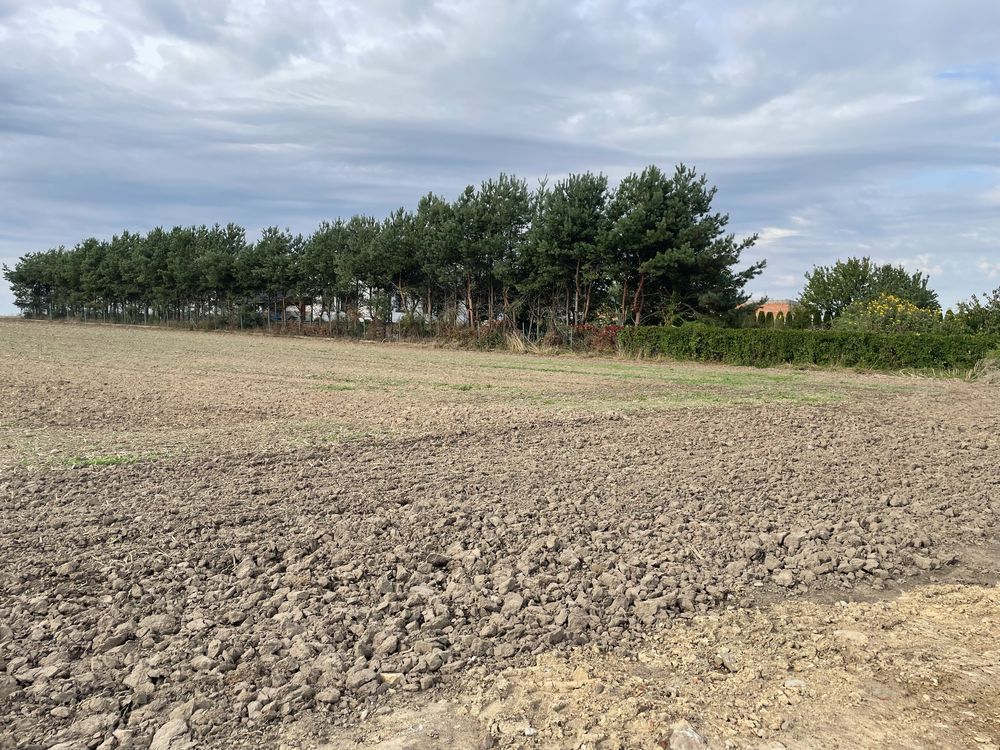 Działka budowlana Pułtusk, ul. Białowiejska. Zdjęcie 6