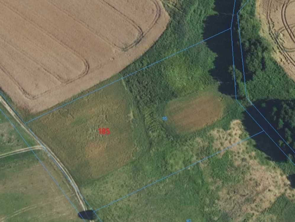 Działka rolna Zawidy. Zdjęcie 2