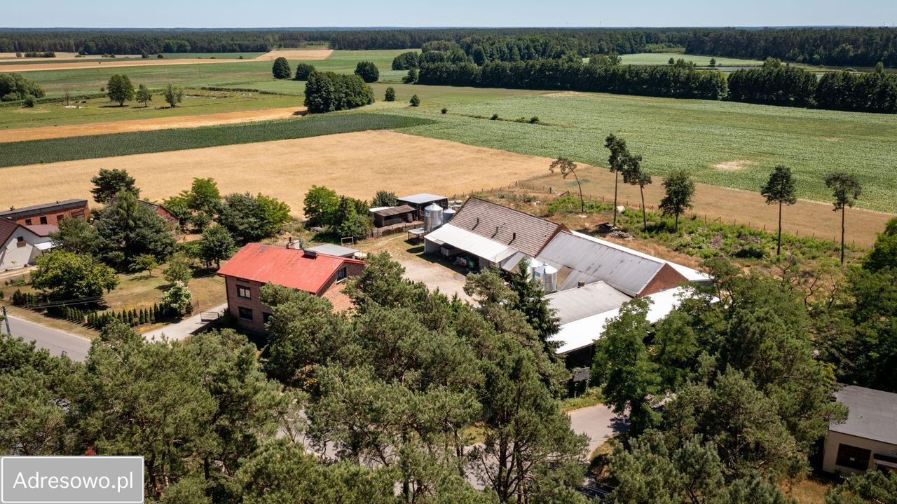 gospodarstwo, 9 pokoi Torzeniec. Zdjęcie 5