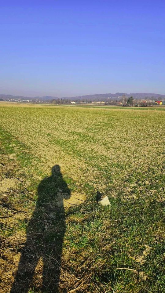 Działka budowlana Kalembina. Zdjęcie 2