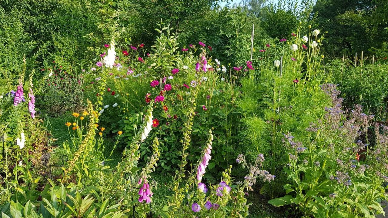 Działka rod Warszawa Ochota, ul. Racławicka. Zdjęcie 4