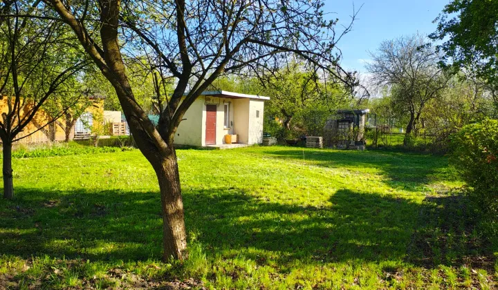 Działka rod Gliwice Ligota Zabrska, ul. Akademicka