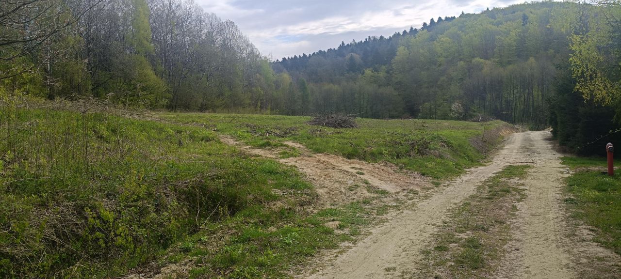 Działka budowlana Nawsie Budzisz. Zdjęcie 3