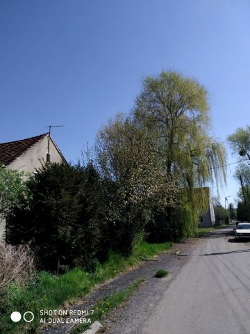 Działka budowlana Karczyce. Zdjęcie 1